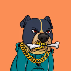 Vito #562