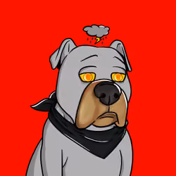 Vito #136