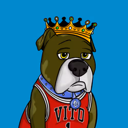 Vito #551