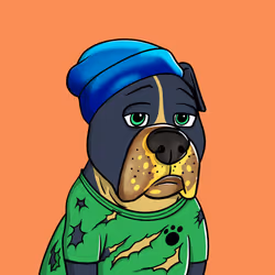 Vito #222