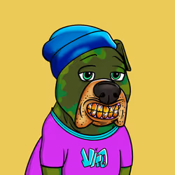 Vito #214