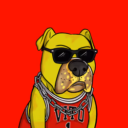 Vito #104