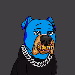 Vito #302