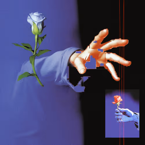 Tainted Affection