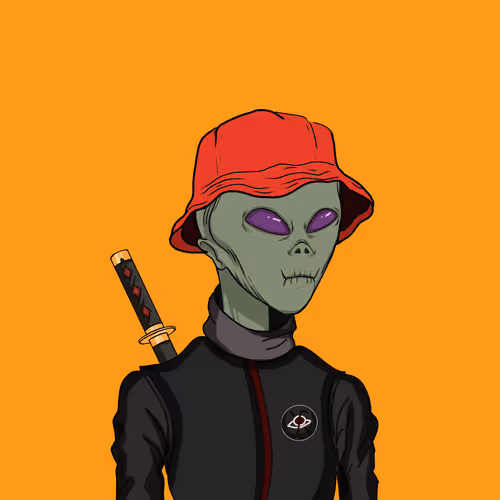 Hidden Ninja Village