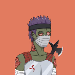 Hidden Ninja 789