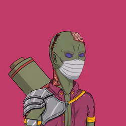 Hidden Ninja 497