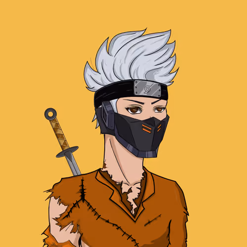Hidden Ninja 1236