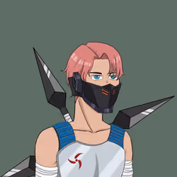 Hidden Ninja 727