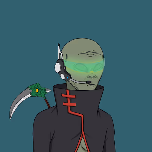 Hidden Ninja 1324