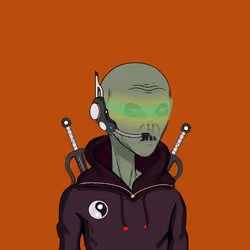 Hidden Ninja 276