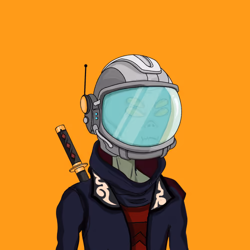 Hidden Ninja 1423
