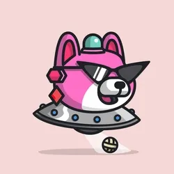 Robopet #2502