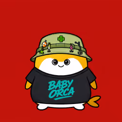 Baby Orca #7616