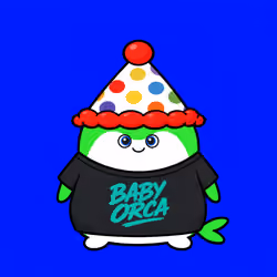 Baby Orca #1617