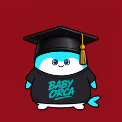 Baby Orca #5004