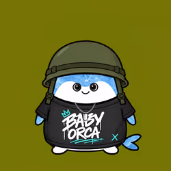 Baby Orca #5736