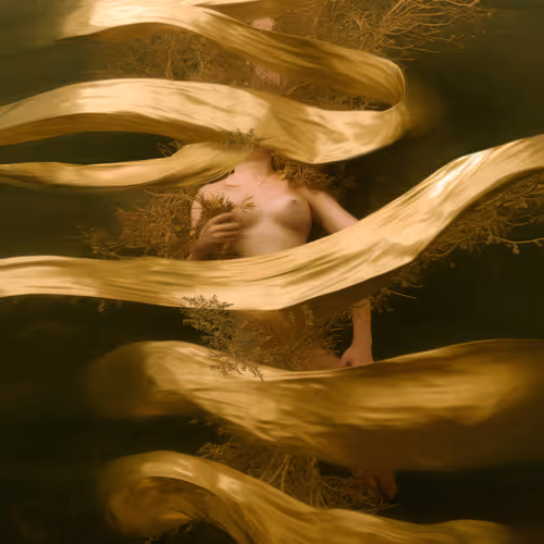 Overture By Synchrodogs