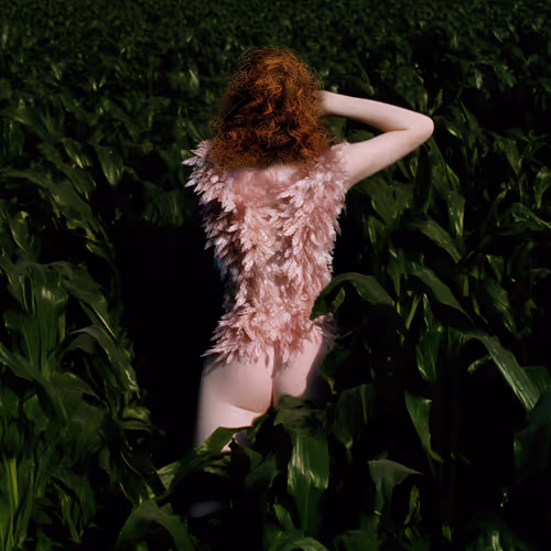 Overture By Synchrodogs