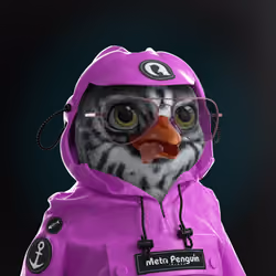 Chillin Penguin #205
