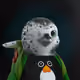 155