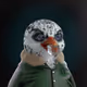 47