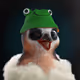 255