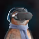 558