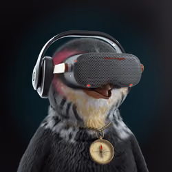 Chillin Penguin #2709