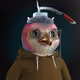 1581