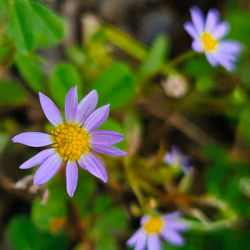 Nature