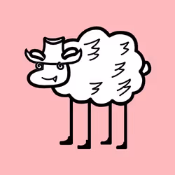 243