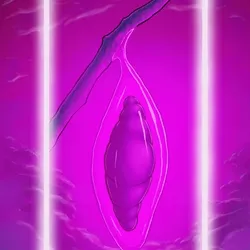 Pupa #18/150