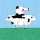 cow #144