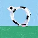 cow #163