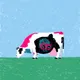 cow #3