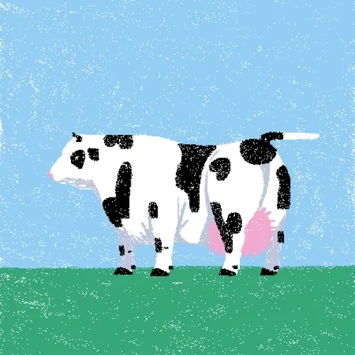cow #137