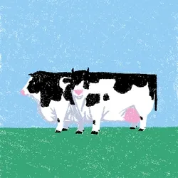 cow #142