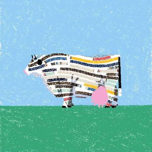 cow #105