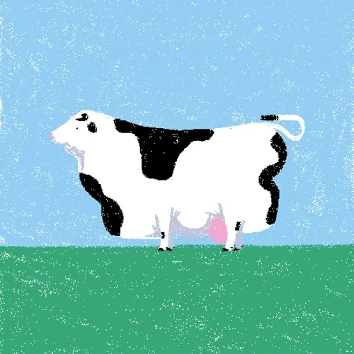 cow #213