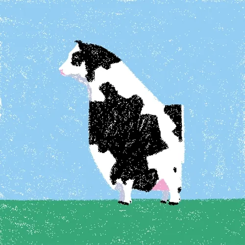 cow #181