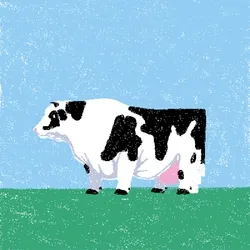 cow #46