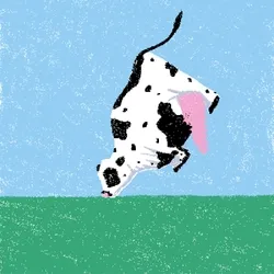 cow #133