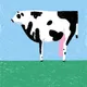 cow #124