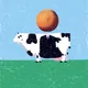 cow #78