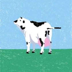 cow #151