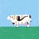 cow #210