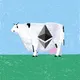 cow #66