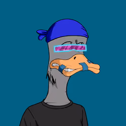 Down Market Goose #150