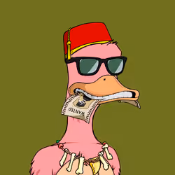 Down Market Goose #146